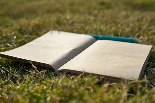 notebook, empty, pen, to write, work, romantic, retro, author, draws, poet, poem, book, grass, paper, daily, art, creative, open, education, study, nature, page, note, notes, office. Lyric essay vs prose poem: four tests for writers and teachers