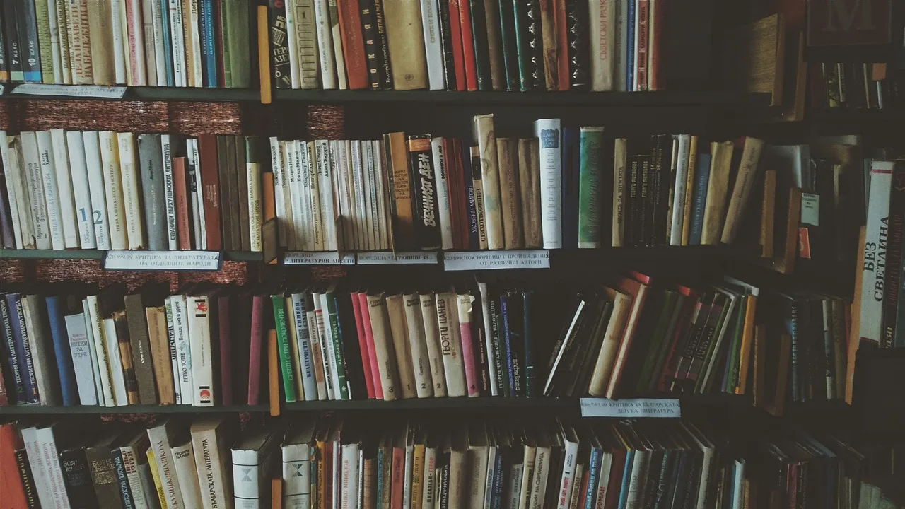 bookcases, books, bookshelves, knowledge, library, literature, novels, read, reading, bookworm, library, library, library, library, library. Where an essayist can send work in New York City: magazines, grants and presses