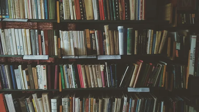 bookcases, books, bookshelves, knowledge, library, literature, novels, read, reading, bookworm, library, library, library, library, library. New York City submission paths: literary magazines, essay prizes, and publishers