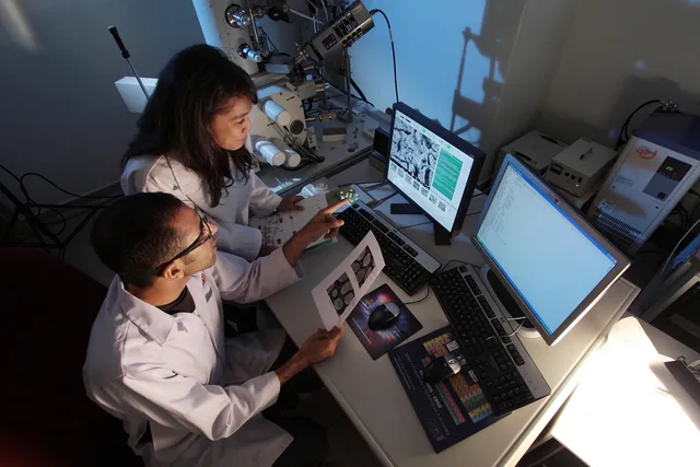 lab, laboratory, research, scientific, science, technology, biotechnology, professional, microbiology, lab, laboratory, laboratory, research, scientific, biotechnology, biotechnology, biotechnology, biotechnology, biotechnology, microbiology. Explanatory essay guide for science and technology topics