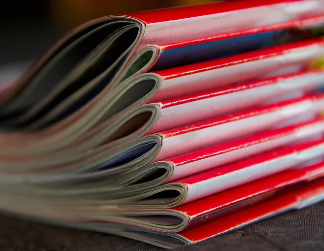 magazines, reading, journals, newspapers, stack, magazines, magazines, magazines, magazines, magazines, journals. Cross-border submissions, US and Canadian literary magazine norms compared